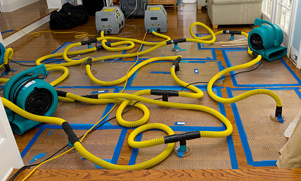 Professional Burst Pipe Water Damage technician working in Burnham, PA
